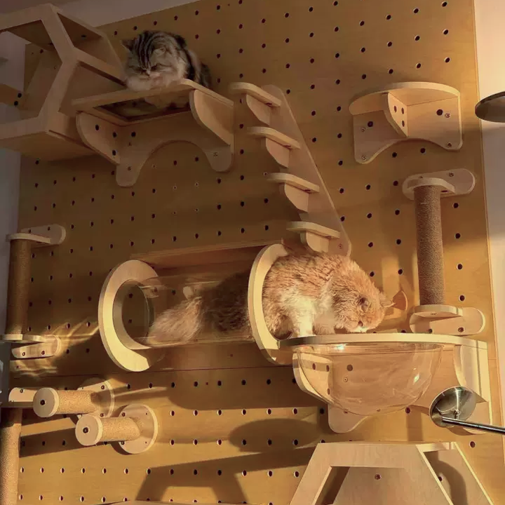 GOODNEST CATWALK | Wall-Mounted Cat Adventure Board