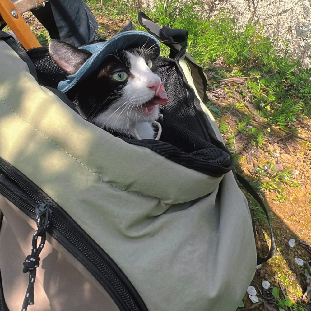 GOODNEST SATCHEL | Dual-Position Pet Backpack