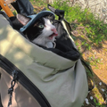 GOODNEST SATCHEL | Dual-Position Pet Backpack