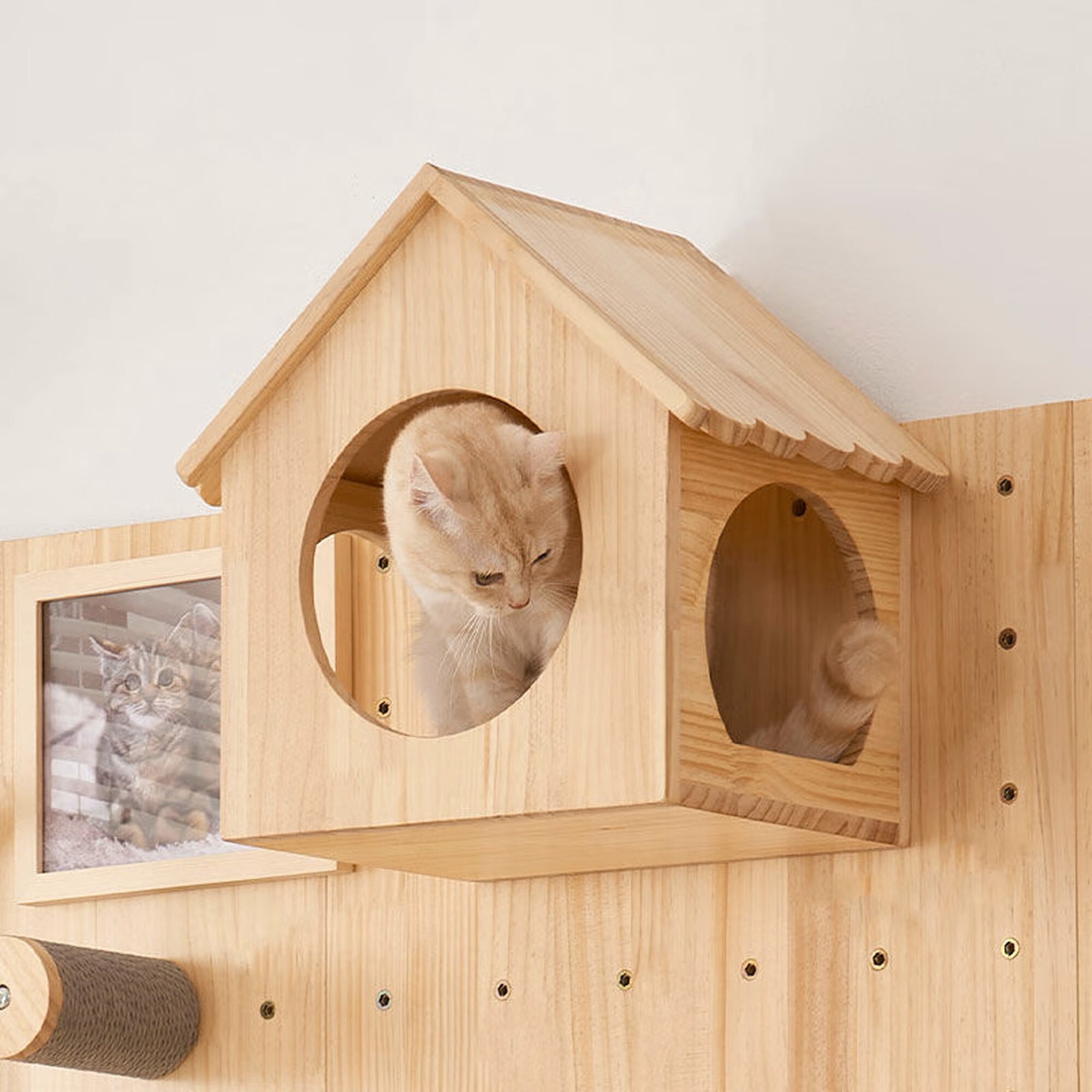 GOODNEST SCALE | Wall-Mount Cat Adventure Set