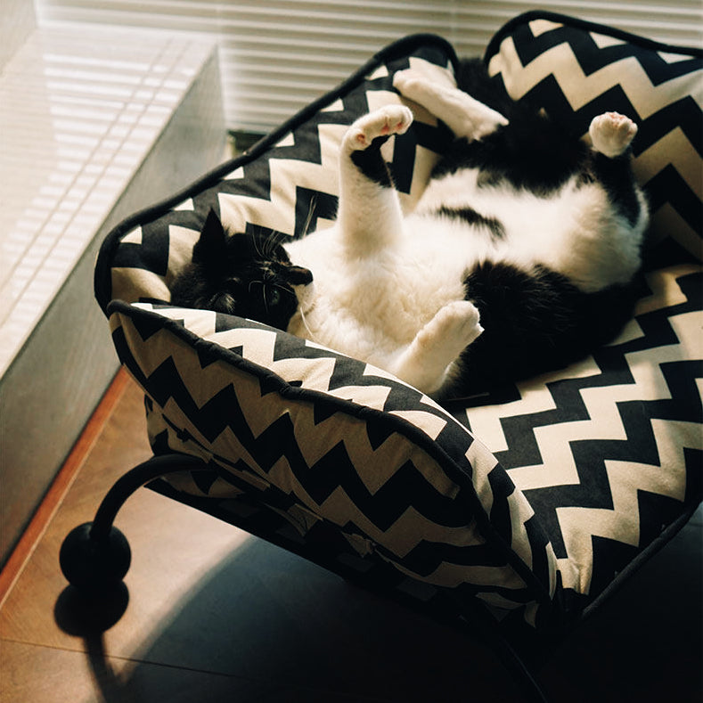 GOODNEST DRAPE | 2-in-1 Pet Sofa Hammock