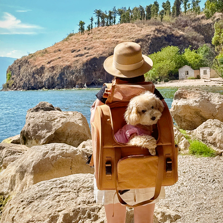 GOODNEST TREK | Expandable Pet Travel Backpack