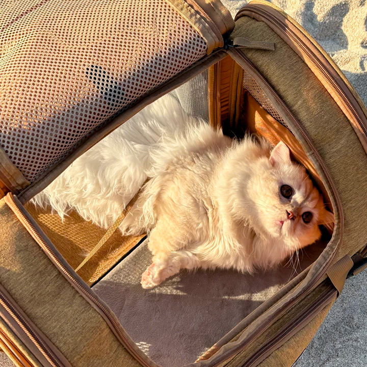 GOODNEST TREK | Expandable Pet Travel Backpack