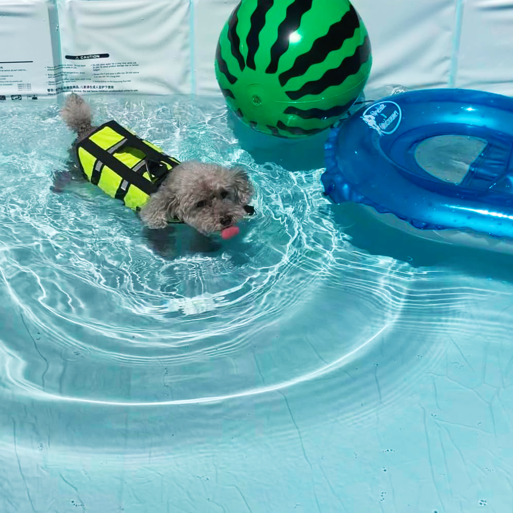 GOODNEST SPLASH | Foldable Dog Pool