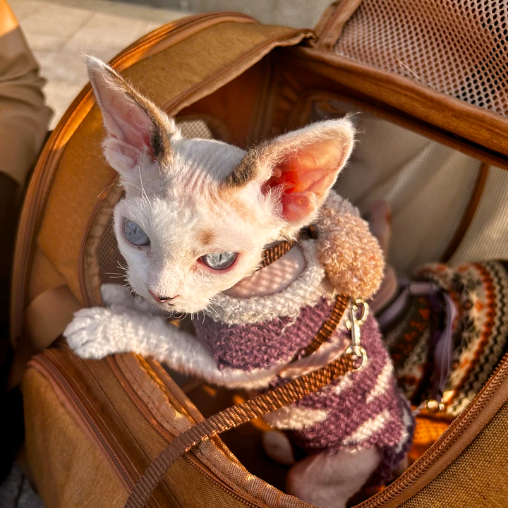 GOODNEST TREK | Expandable Pet Travel Backpack