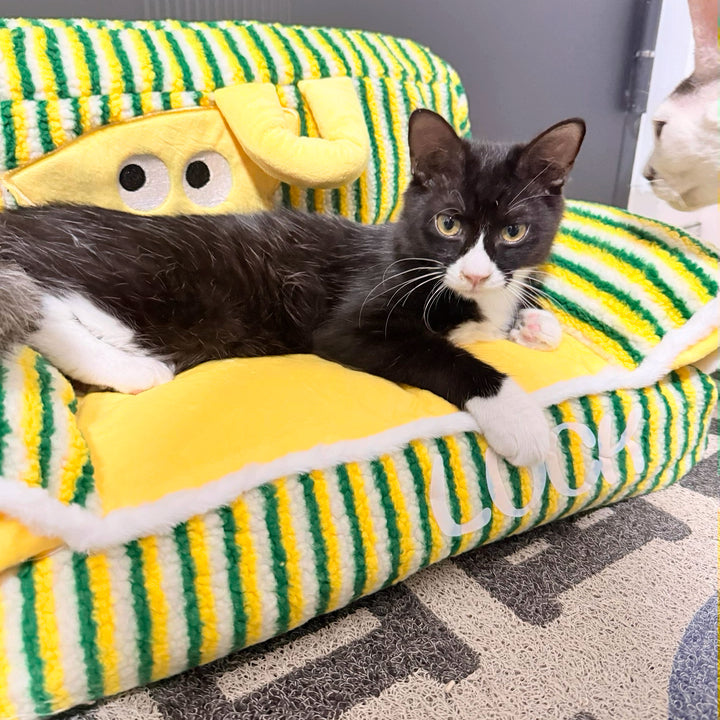 GOODNEST PLUME | Fluffy Pet Sofa Bed