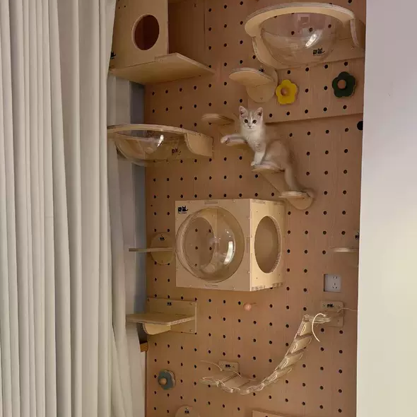 GOODNEST CATWALK | Wall-Mounted Cat Adventure Board