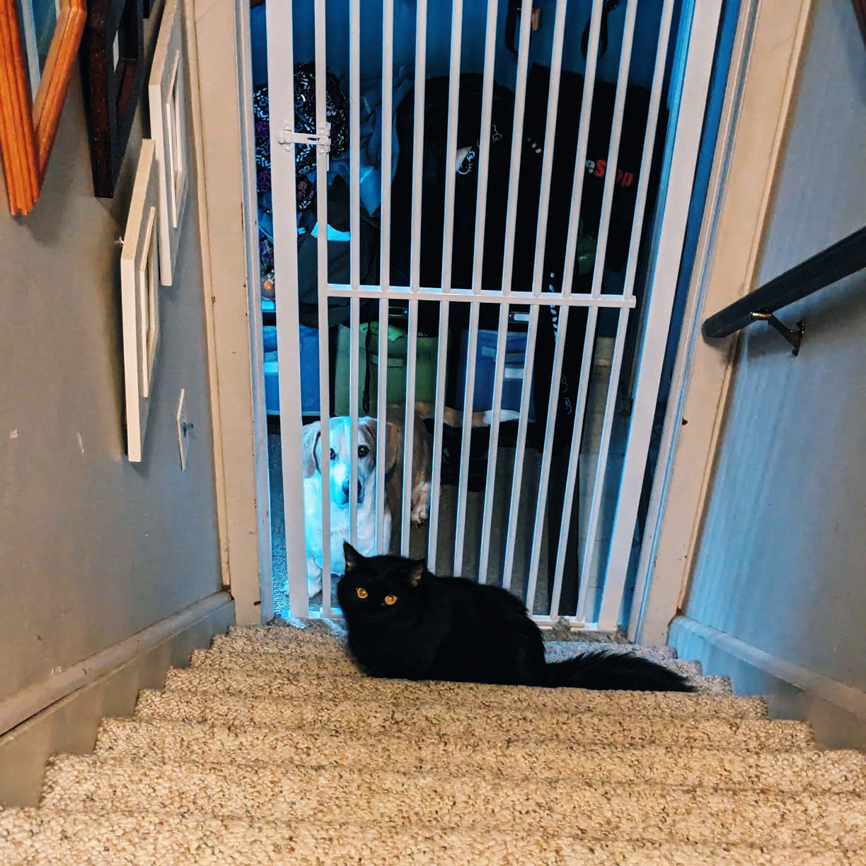 GOODNEST GATEWAY | No-Drill Adjustable Pet Gate