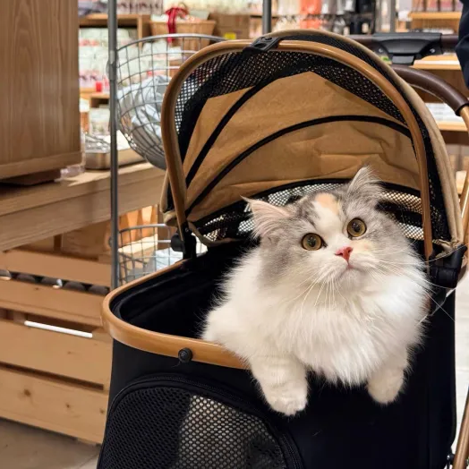 GOODNEST ROVER | 2-in-1 Foldable Pet Stroller