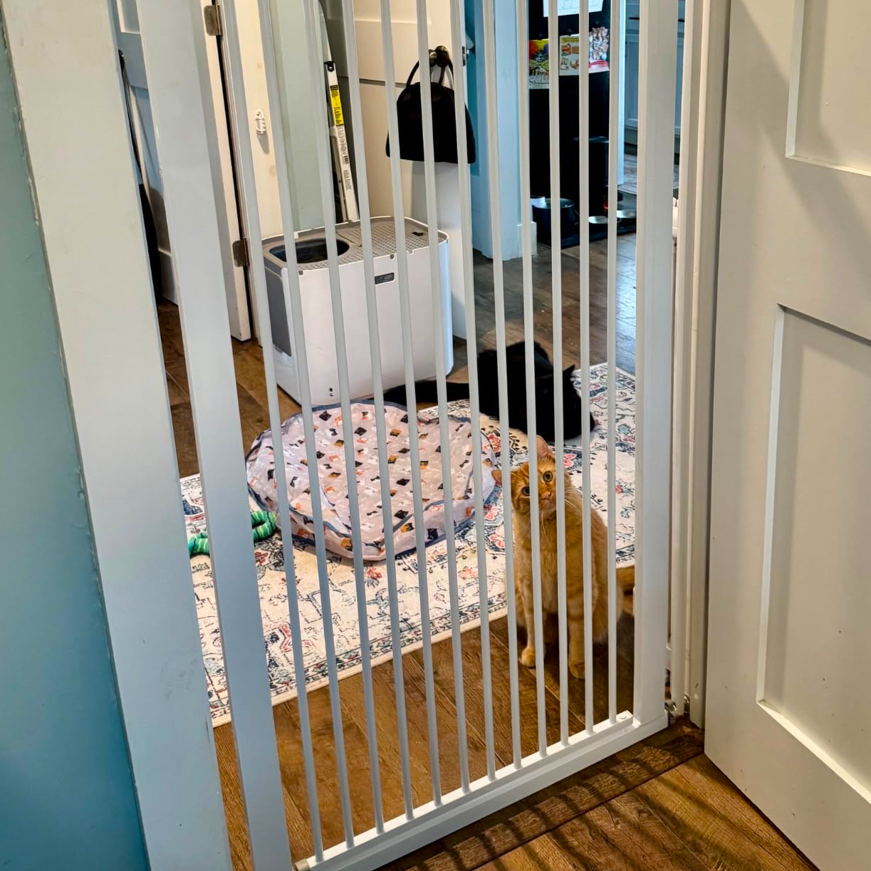 GOODNEST GATEWAY | No-Drill Adjustable Pet Gate