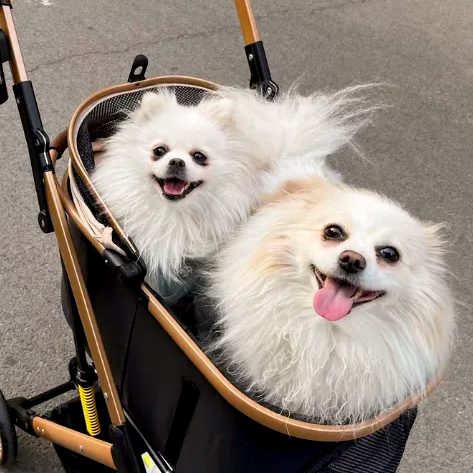 GOODNEST ROVER | 2-in-1 Foldable Pet Stroller