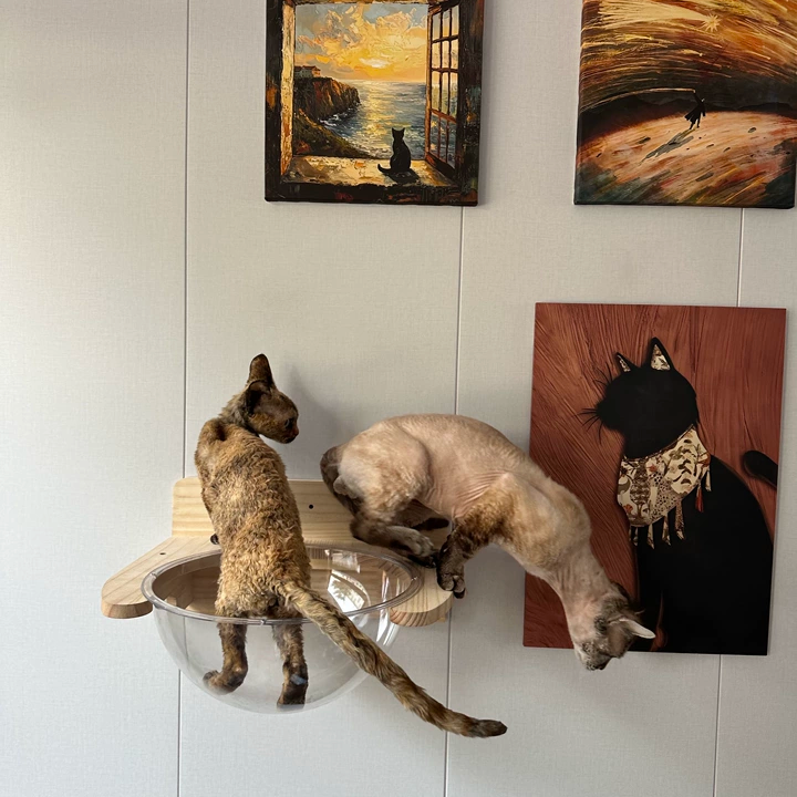 GOODNEST CATWALK | Wall-Mounted Cat Adventure Board