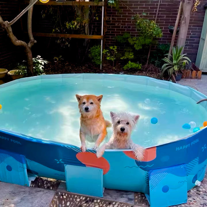 GOODNEST SPLASH | Foldable Dog Pool