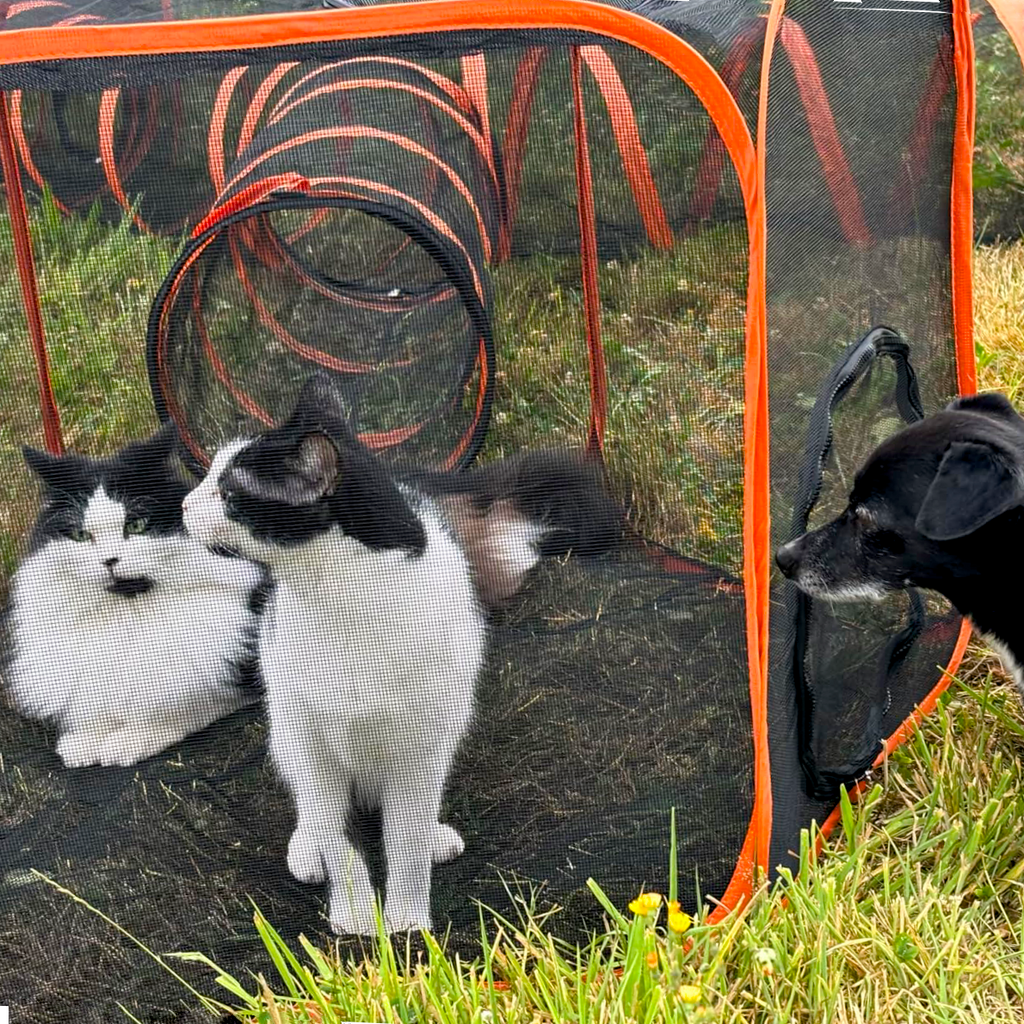 GOODNEST FOLD | Collapsible Pet Playpen & Barrier