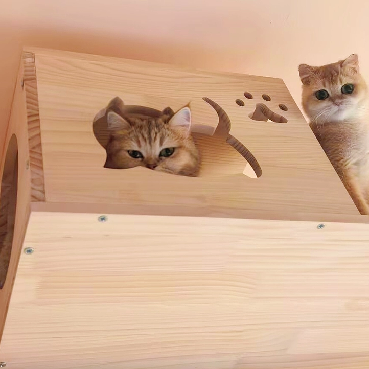 GOODNEST CATWALK | Wall-Mounted Cat Adventure Board