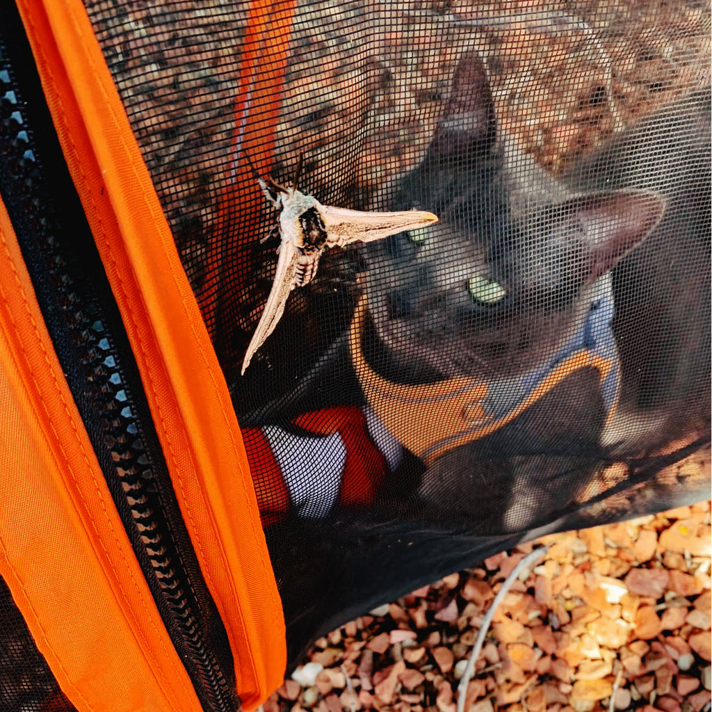 GOODNEST FOLD | Collapsible Pet Playpen & Barrier