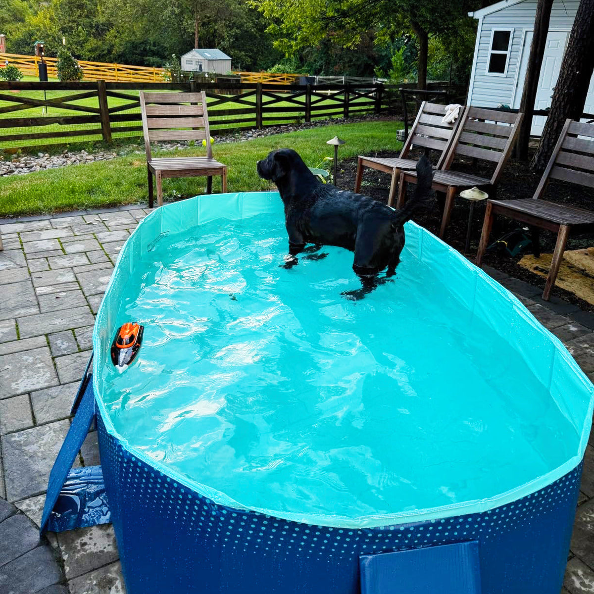 GOODNEST SPLASH | Foldable Dog Pool