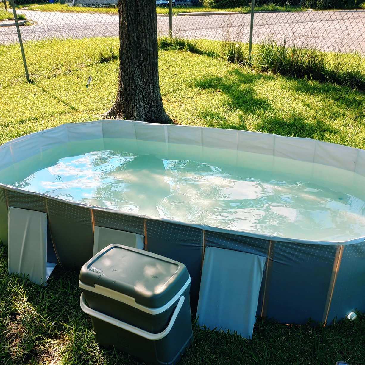 GOODNEST SPLASH | Foldable Dog Pool