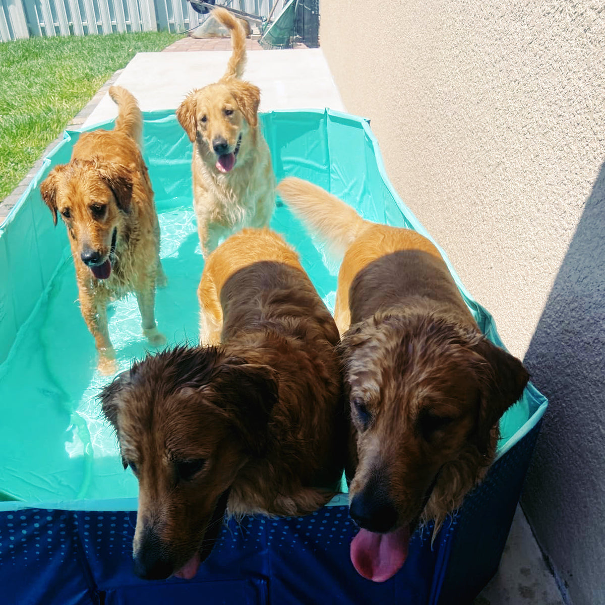 GOODNEST SPLASH | Foldable Dog Pool