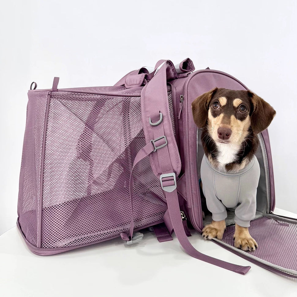 GOODNEST TREK | Expandable Pet Travel Backpack