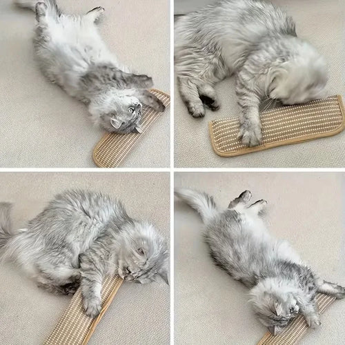 at Toy Game Pillow and Cat Scratching Pad for Solo Play and Intimate Interaction to Keep Your Feline Friend Happy and Soothing