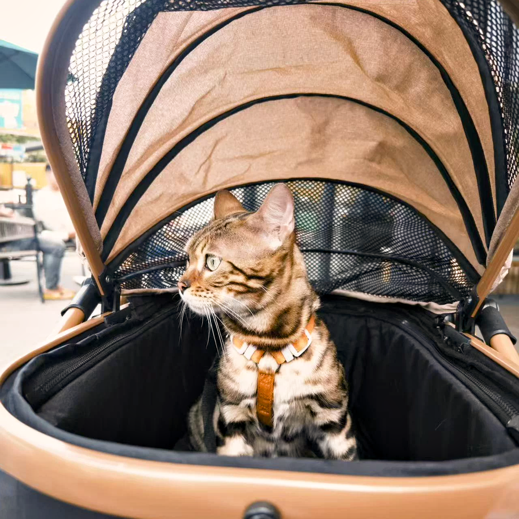 GOODNEST ROVER | 2-in-1 Foldable Pet Stroller