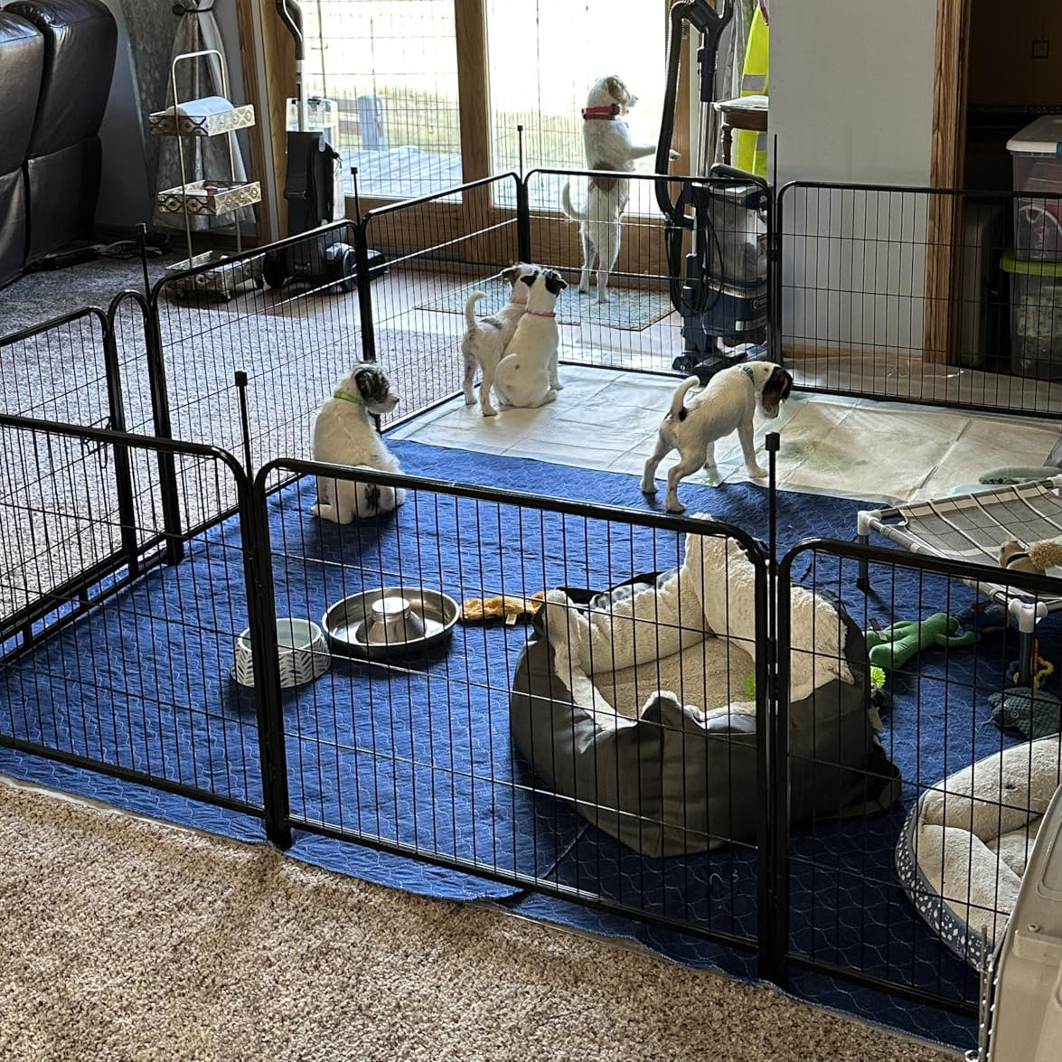GOODNEST GROVE 8 | Modular Playpen & Barrier