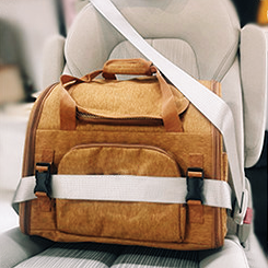 GOODNEST TREK | Expandable Pet Travel Backpack