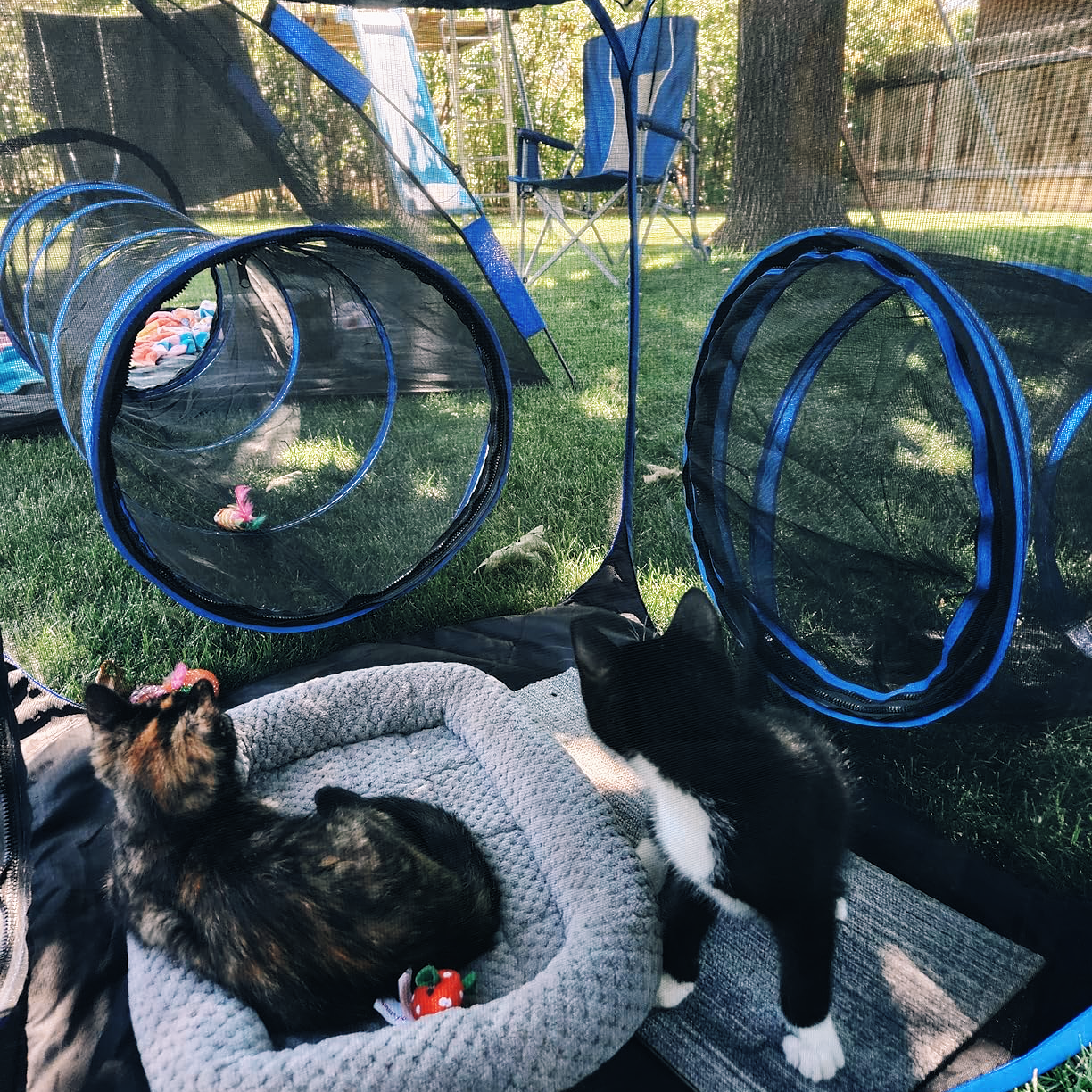 GOODNEST FOLD | Collapsible Pet Playpen & Barrier