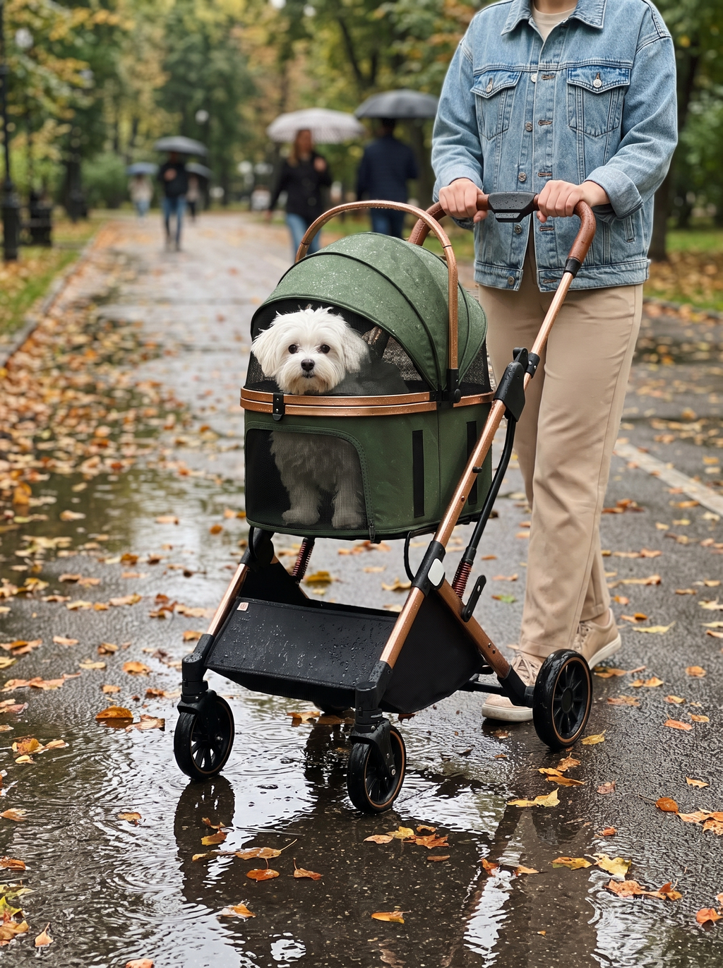 Dog riding in a pet stroller on a walk