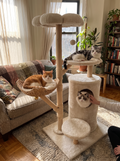 GOODNEST THICKET cat tower in a small apartment